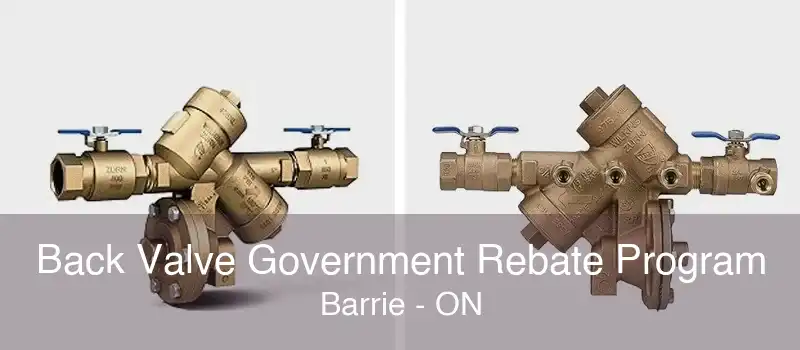 Back Valve Government Rebate Program Barrie - ON