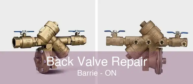 Back Valve Repair Barrie - ON