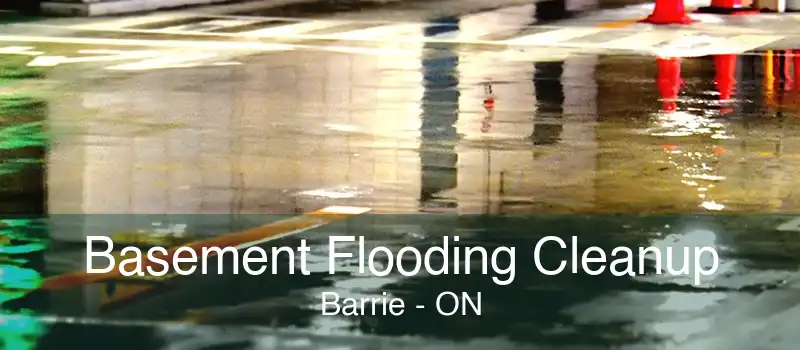 Basement Flooding Cleanup Barrie - ON