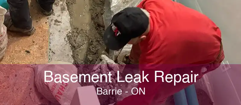 Basement Leak Repair Barrie - ON