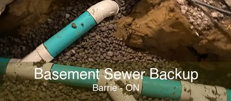 Basement Sewer Backup Barrie - ON