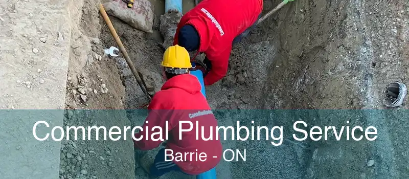 Commercial Plumbing Service Barrie - ON