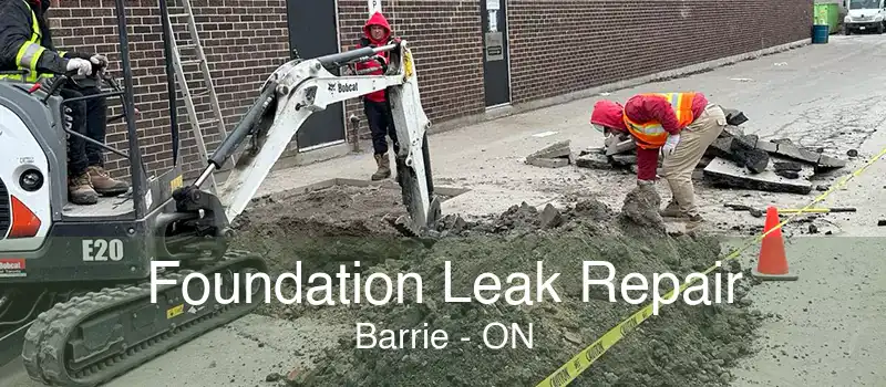 Foundation Leak Repair Barrie - ON