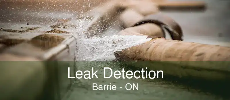 Leak Detection Barrie - ON