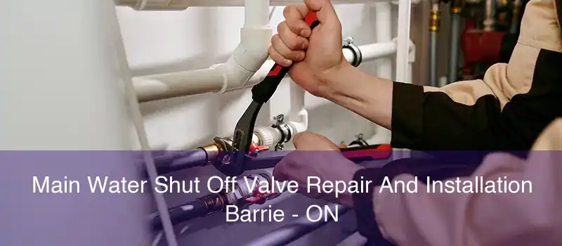 Main Water Shut Off Valve Repair And Installation Barrie - ON