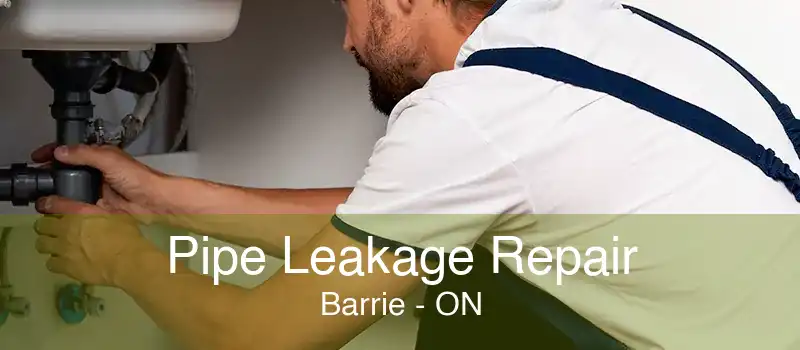 Pipe Leakage Repair Barrie - ON