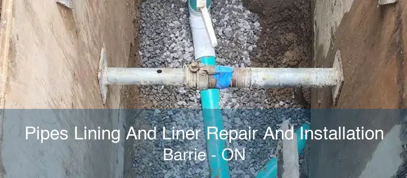 Pipes Lining And Liner Repair And Installation Barrie - ON