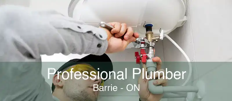 Professional Plumber Barrie - ON