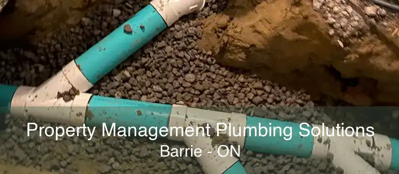 Property Management Plumbing Solutions Barrie - ON