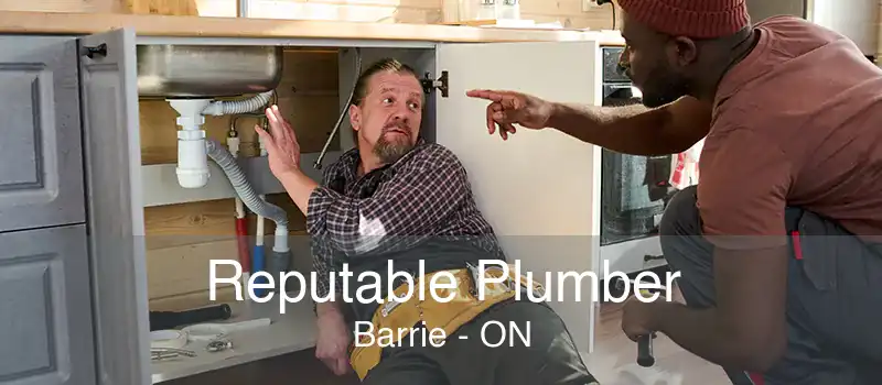 Reputable Plumber Barrie - ON