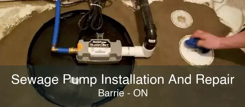 Sewage Pump Installation And Repair Barrie - ON