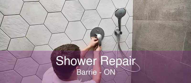 Shower Repair Barrie - ON