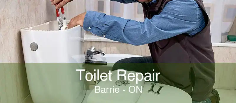 Toilet Repair Barrie - ON