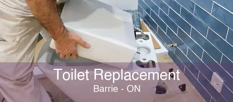 Toilet Replacement Barrie - ON