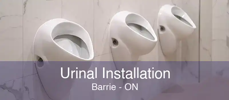 Urinal Installation Barrie - ON