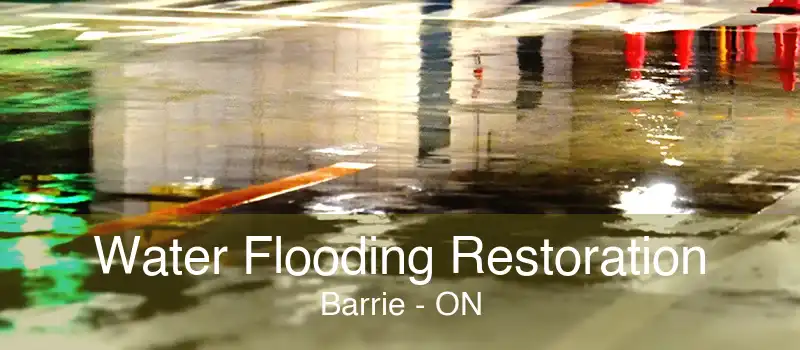 Water Flooding Restoration Barrie - ON