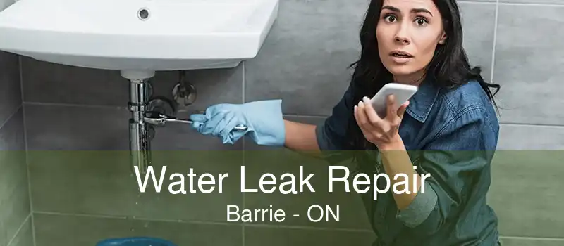 Water Leak Repair Barrie - ON