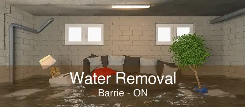 Water Removal Barrie - ON